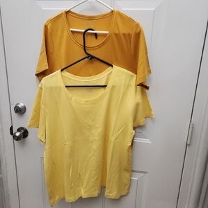 2 White Stag Short Sleeve Tops Gold and Yellow  XL 16-18‎